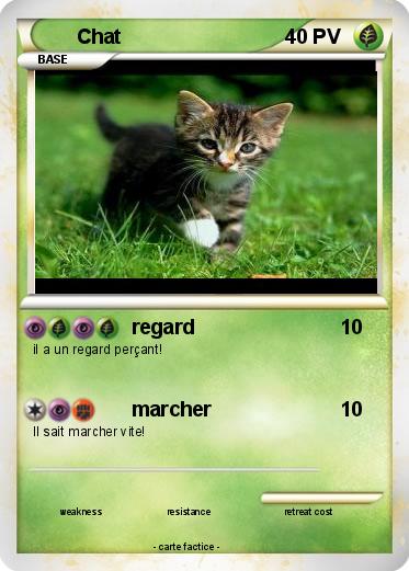 Pokemon Chat