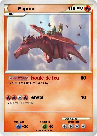 Pokemon Pupuce