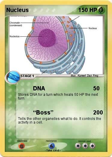Pokemon Nucleus