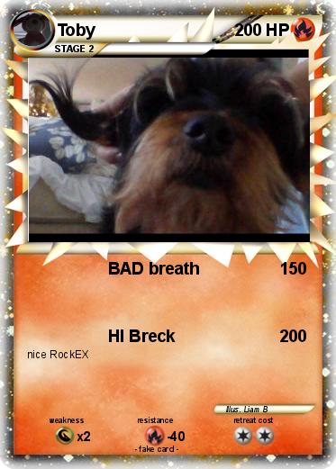 Pokemon Toby