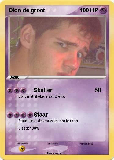 Pokemon Dion de groot