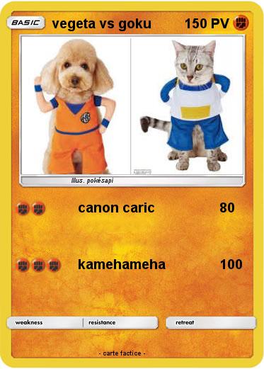 Pokemon vegeta vs goku