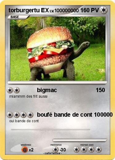 Pokemon torburgertu EX