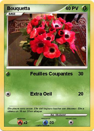 Pokemon Bouquetta