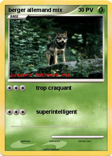 Pokemon berger allemand mix