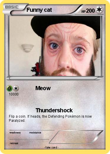 Pokemon Funny cat