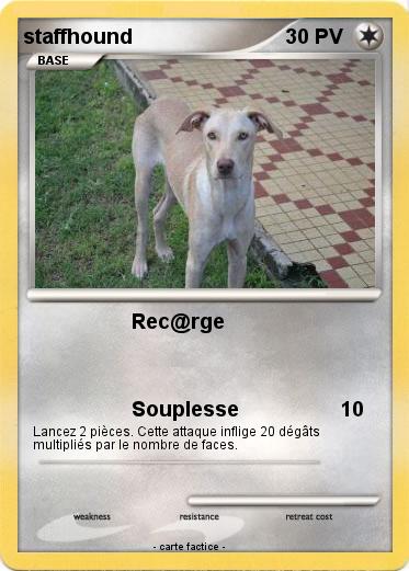 Pokemon staffhound