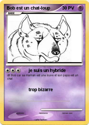 Pokemon Bob est un chat-loup