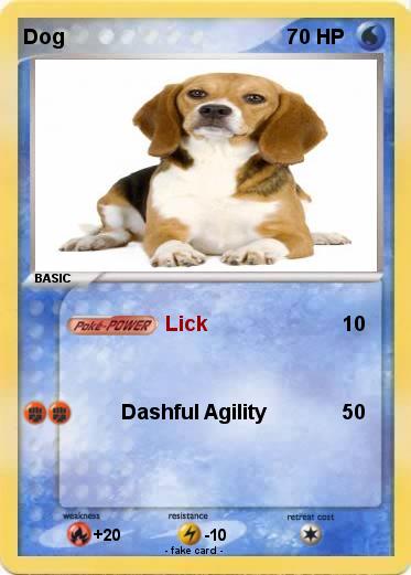 Pokemon Dog