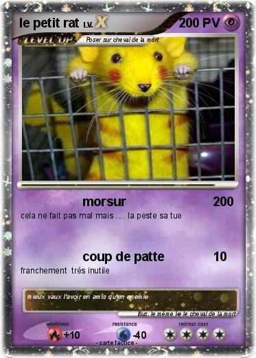 Pokemon le petit rat