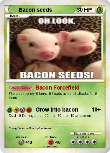 Pokemon Bacon seeds
