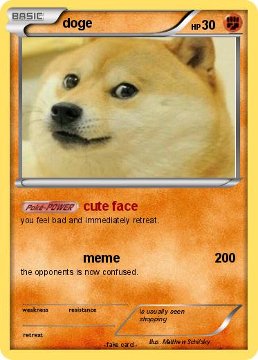 Pokemon doge