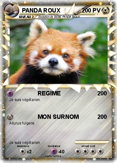 Pokemon PANDA ROUX