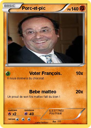 Pokemon Porc-et-pic