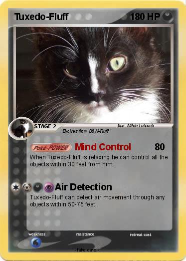 Pokemon Tuxedo-Fluff