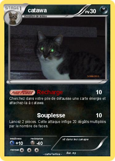Pokemon catawa