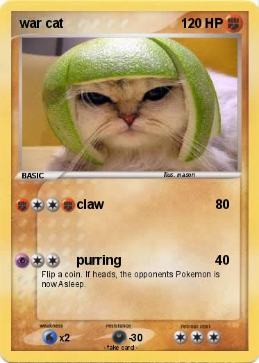Pokemon war cat