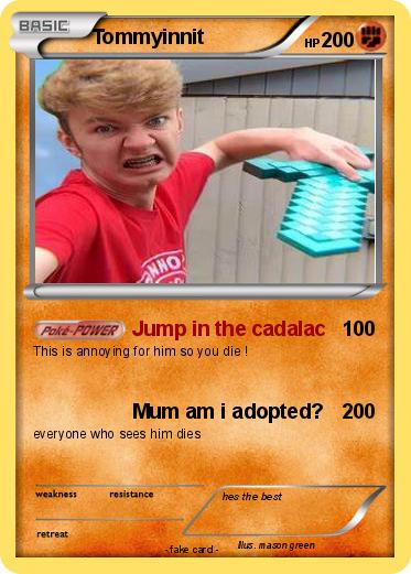 Pokemon Tommyinnit