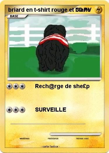 Pokemon briard en t-shirt rouge et blanc