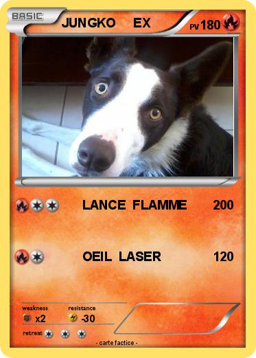 Pokemon JUNGKO     EX