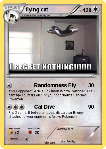 Pokemon flying cat