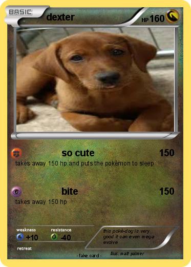 Pokemon dexter
