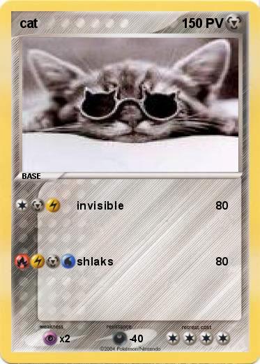 Pokemon cat