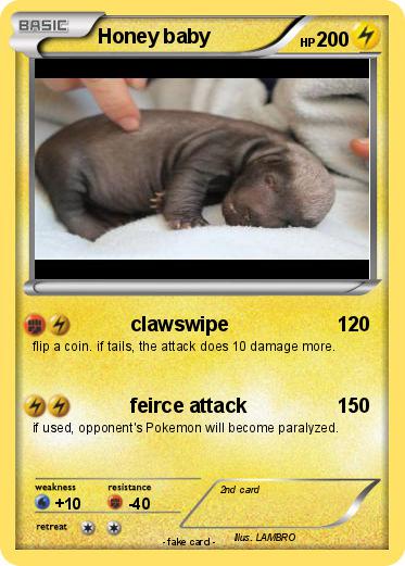 Pokemon Honey baby