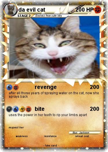 Pokemon da evil cat