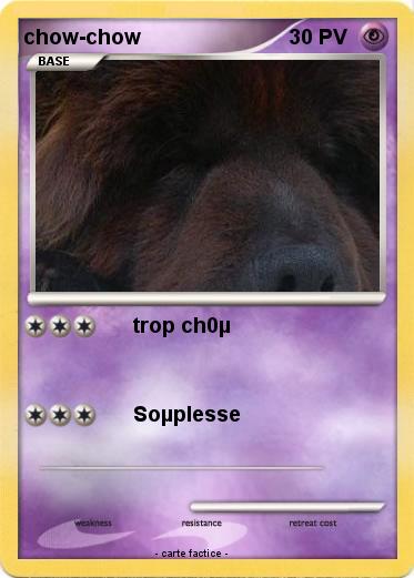 Pokemon chow-chow