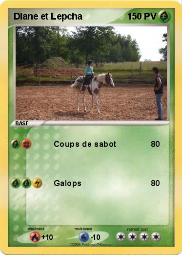 Pokemon Diane et Lepcha 