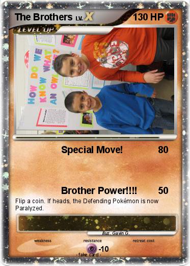 Pokemon The Brothers