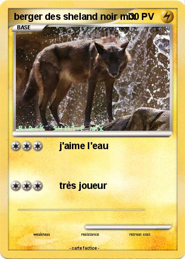 Pokemon berger des sheland noir mix