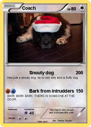 Pokemon Coach