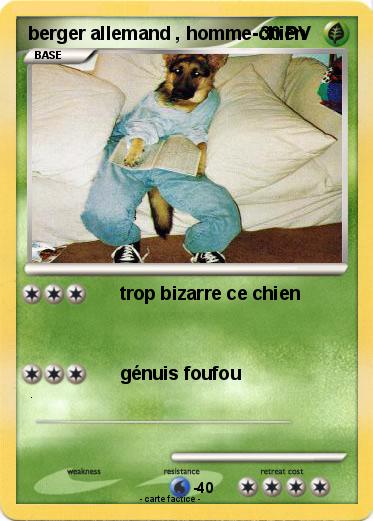 Pokemon berger allemand , homme-chien