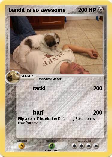 Pokemon bandit is so awesome