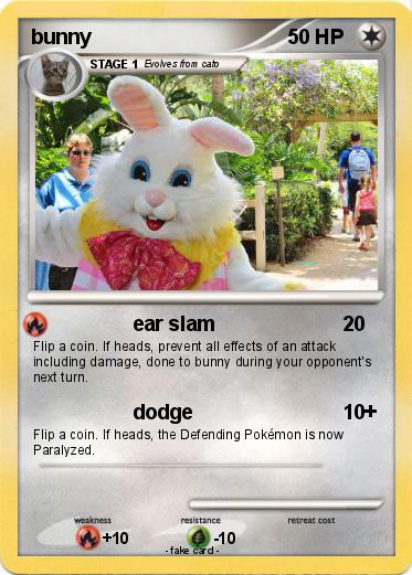 Pokemon bunny
