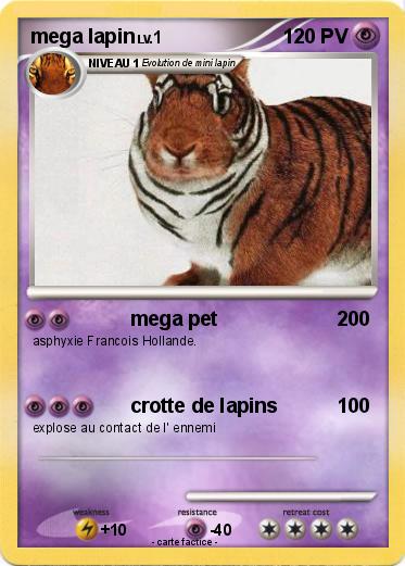 Pokemon mega lapin