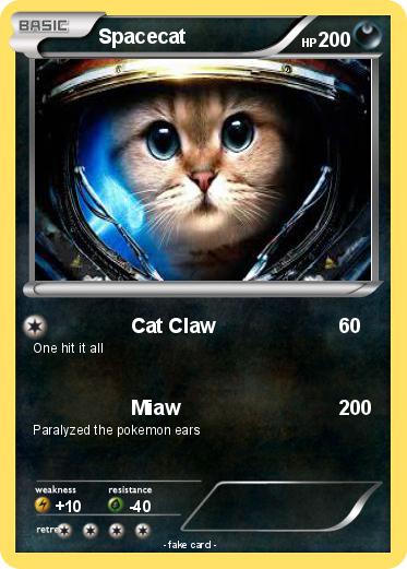 Pokemon Spacecat