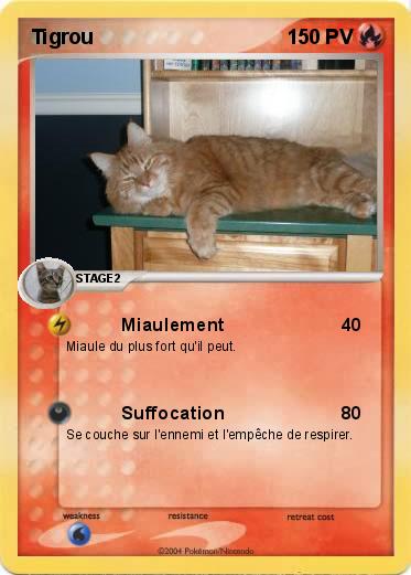 Pokemon Tigrou