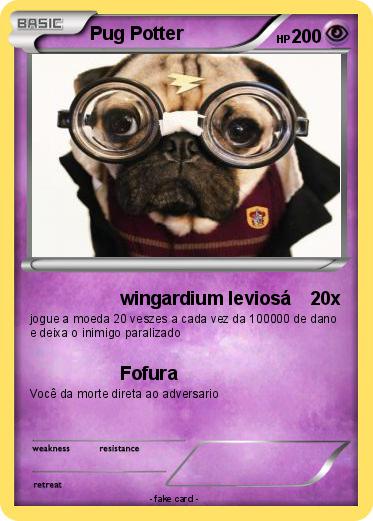 Pokemon Pug Potter