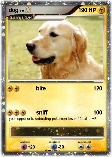 Pokemon dog