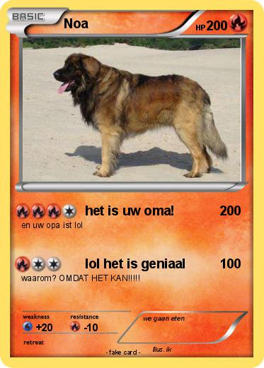Pokemon Noa
