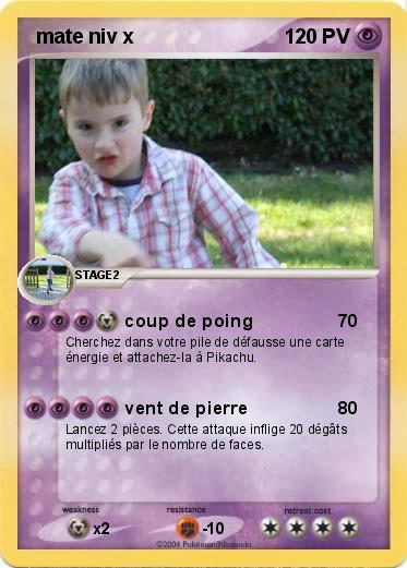 Pokemon  mate niv x