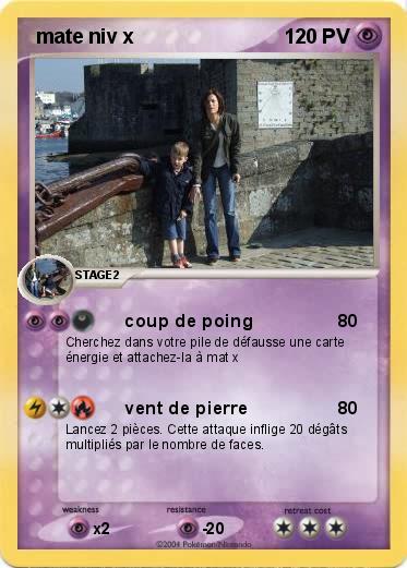 Pokemon  mate niv x