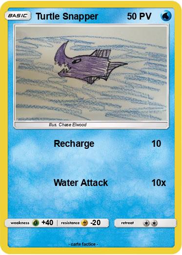 Pokemon Turtle Snapper
