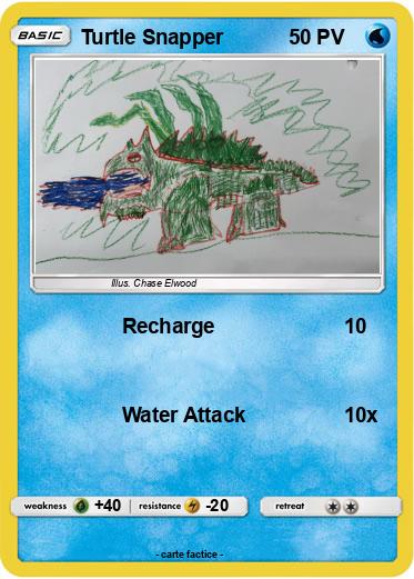 Pokemon Turtle Snapper