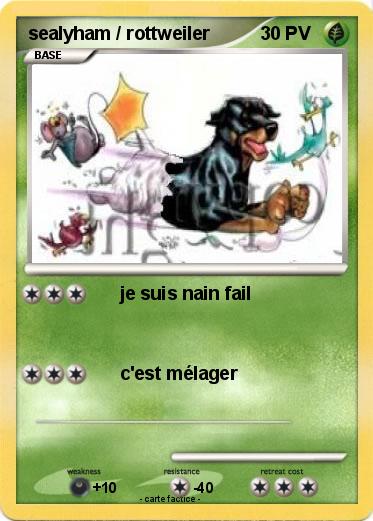 Pokemon sealyham / rottweiler