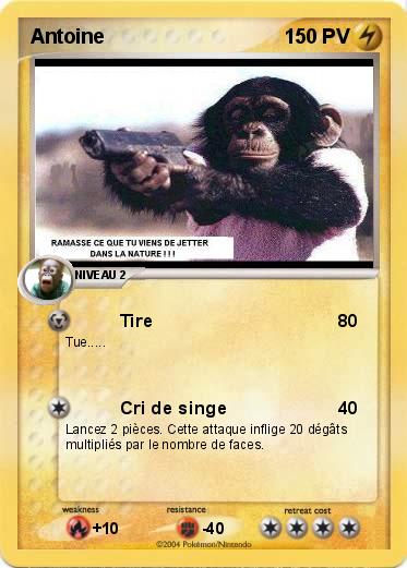 Pokemon Antoine