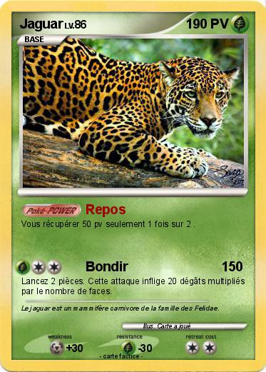 Pokemon Jaguar